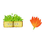 手绘草