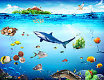 海底世界