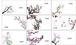 梅花名片模板