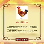 鸡 王德之禽