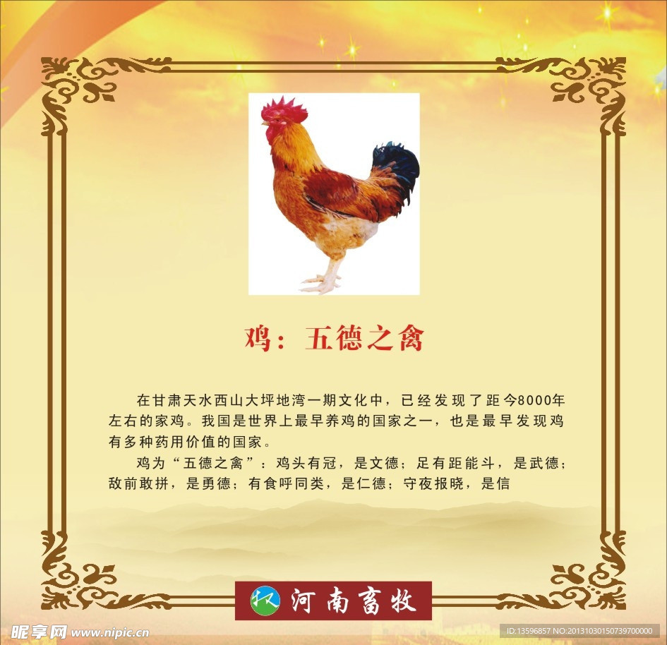 鸡 王德之禽
