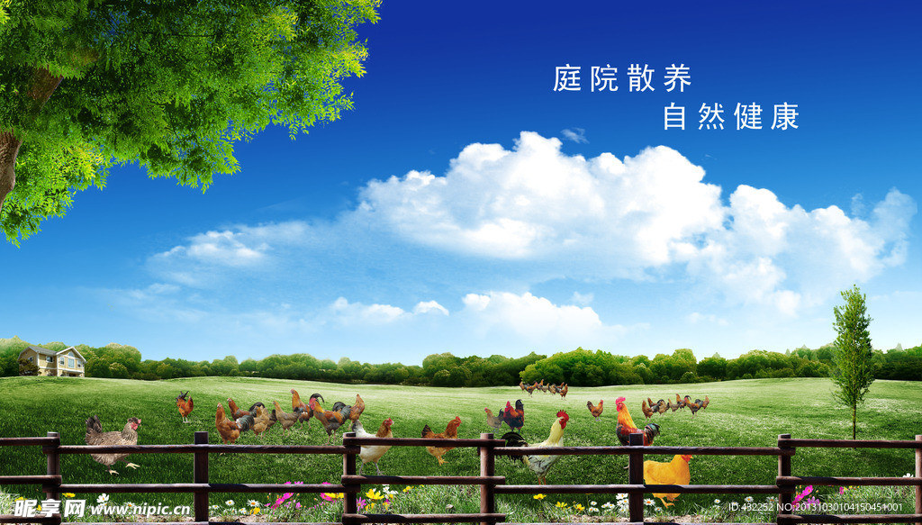 养鸡场