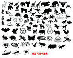 动物