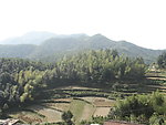 小山田野