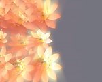 动态花朵转场视频素材