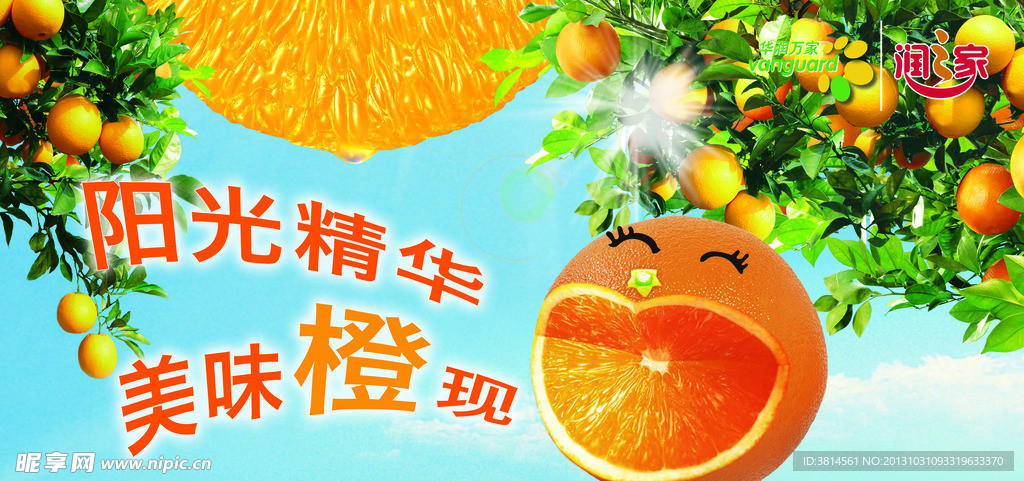 橙子 脐橙