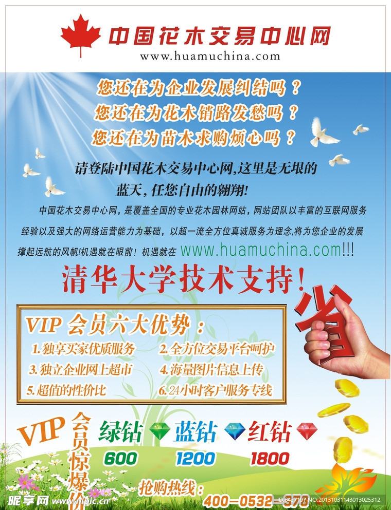 花木网彩页