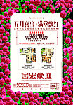 地产 报纸 DM单页