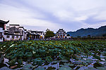 西递
