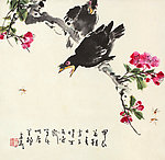 桃花八哥