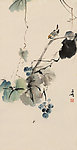 花鸟