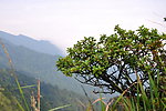 大丰山 山脉