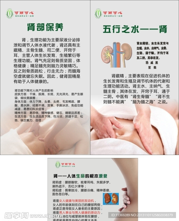 肾保养