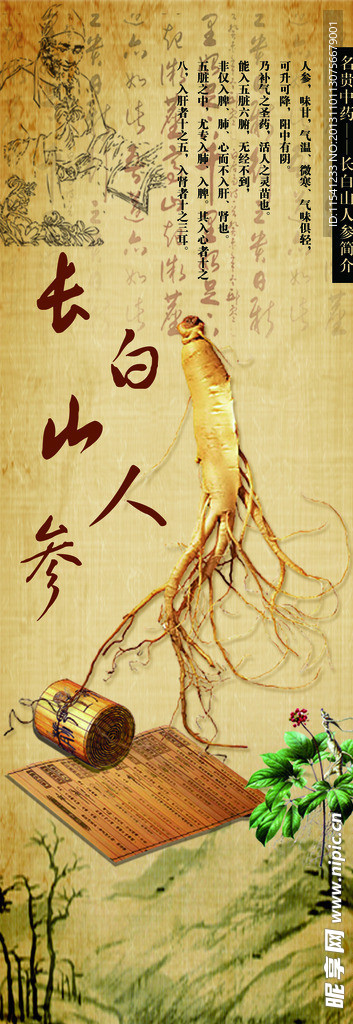 人参展架