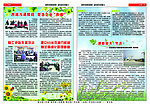 企业文化简报