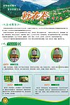海报设计