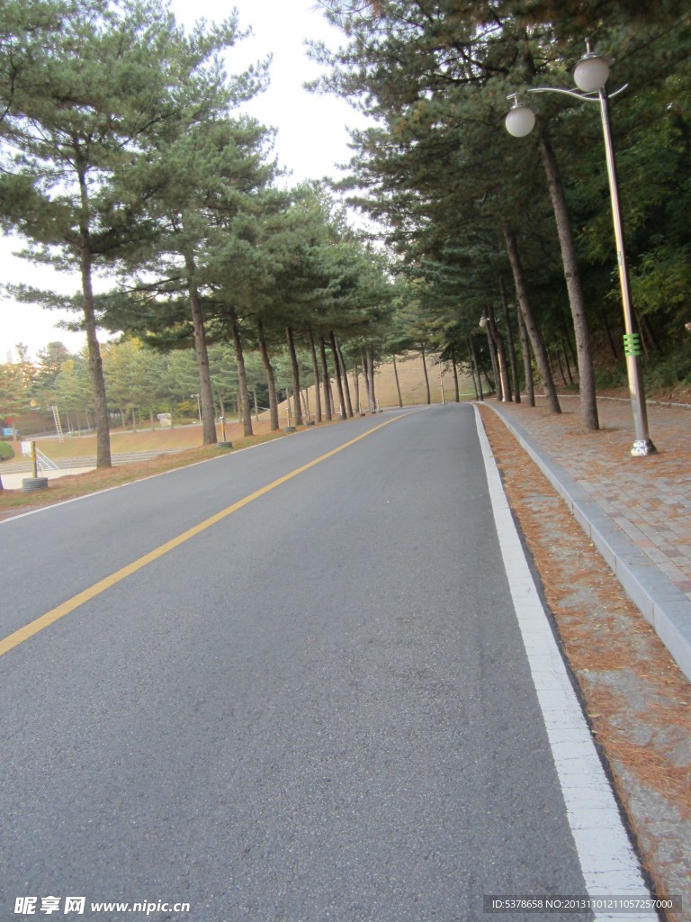 道路