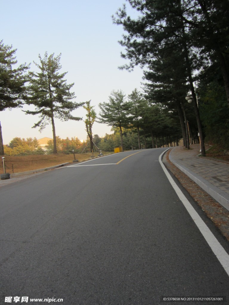 道路