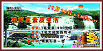 联邦米尼山水画