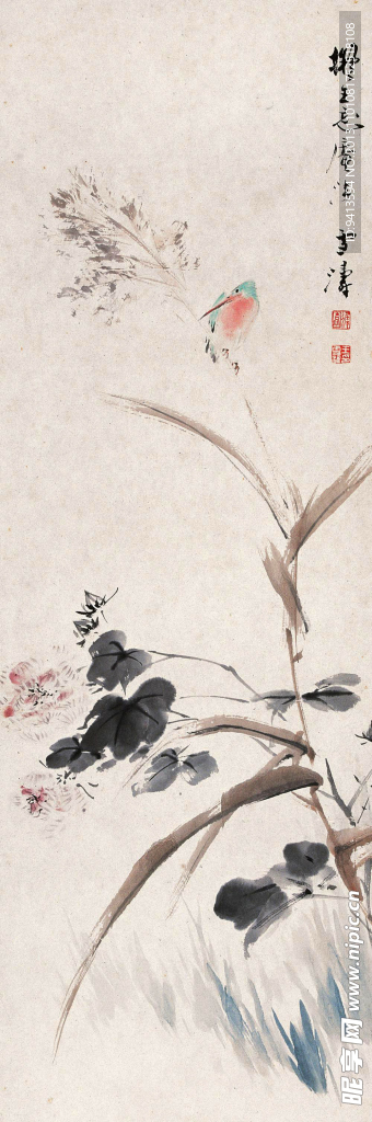 芦花翠鸟