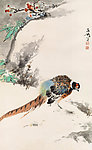 梅山山鸡