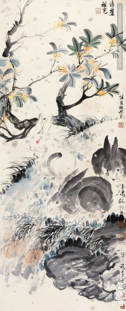 兔子