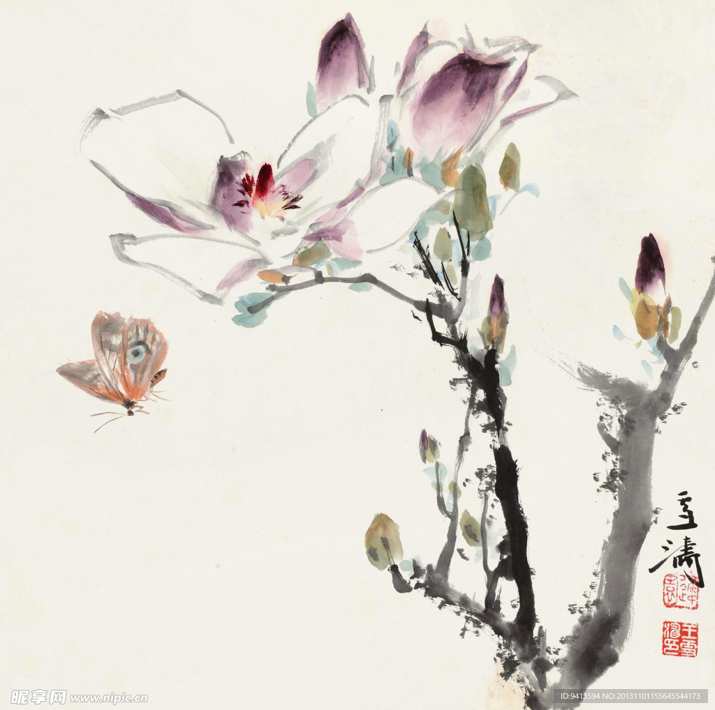 玉兰蝴蝶