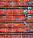墙图片