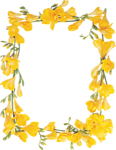花纹边框