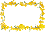 花纹边框