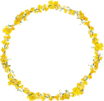 花纹边框