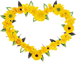 花纹边框