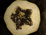 蔬菜 瓜