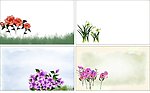 花类名片模板