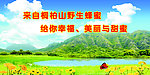 蜂蜜