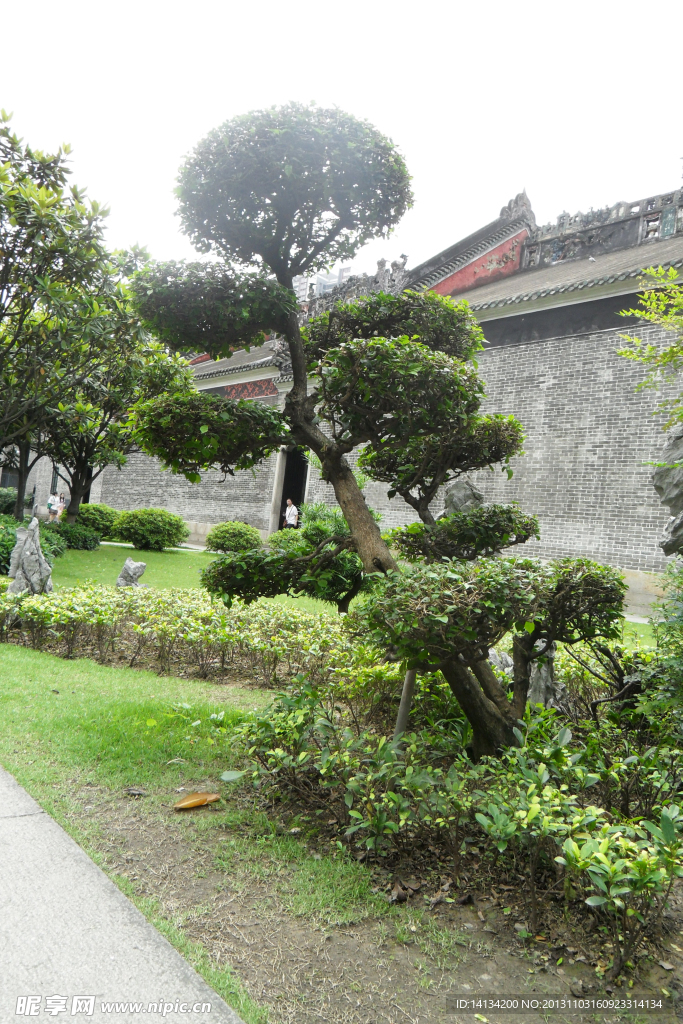 后花园