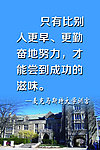 麦克马斯特大学