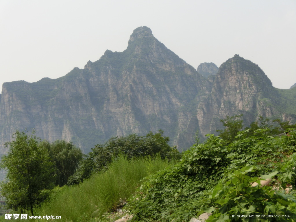 青山