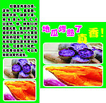 烤地瓜