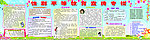 小学生性别平等教育
