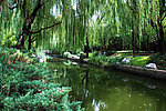 北京菖蒲河公园