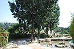 圆明园夏天风景