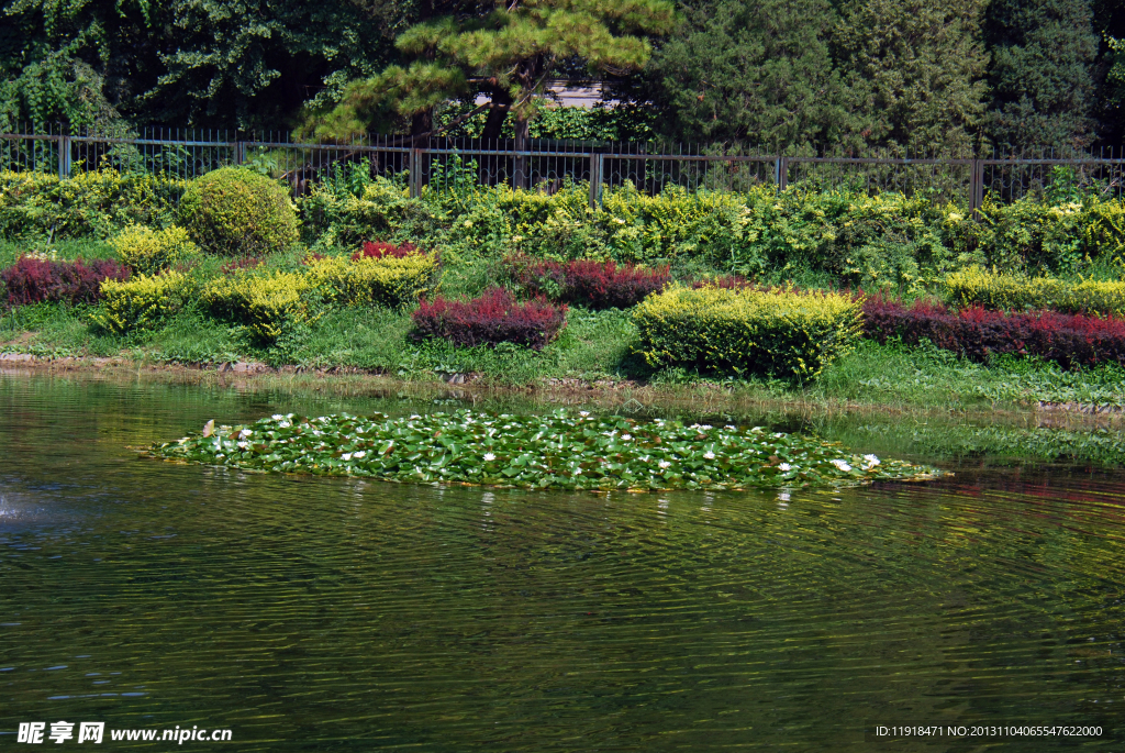 圆明园夏天风景