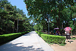 圆明园夏天风景