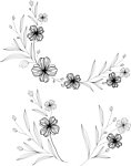 花朵素材