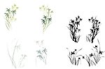 竹子 花草素材