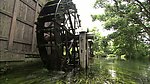 河边水国