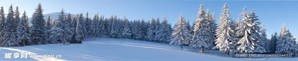 雪景全景