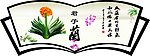 君子兰