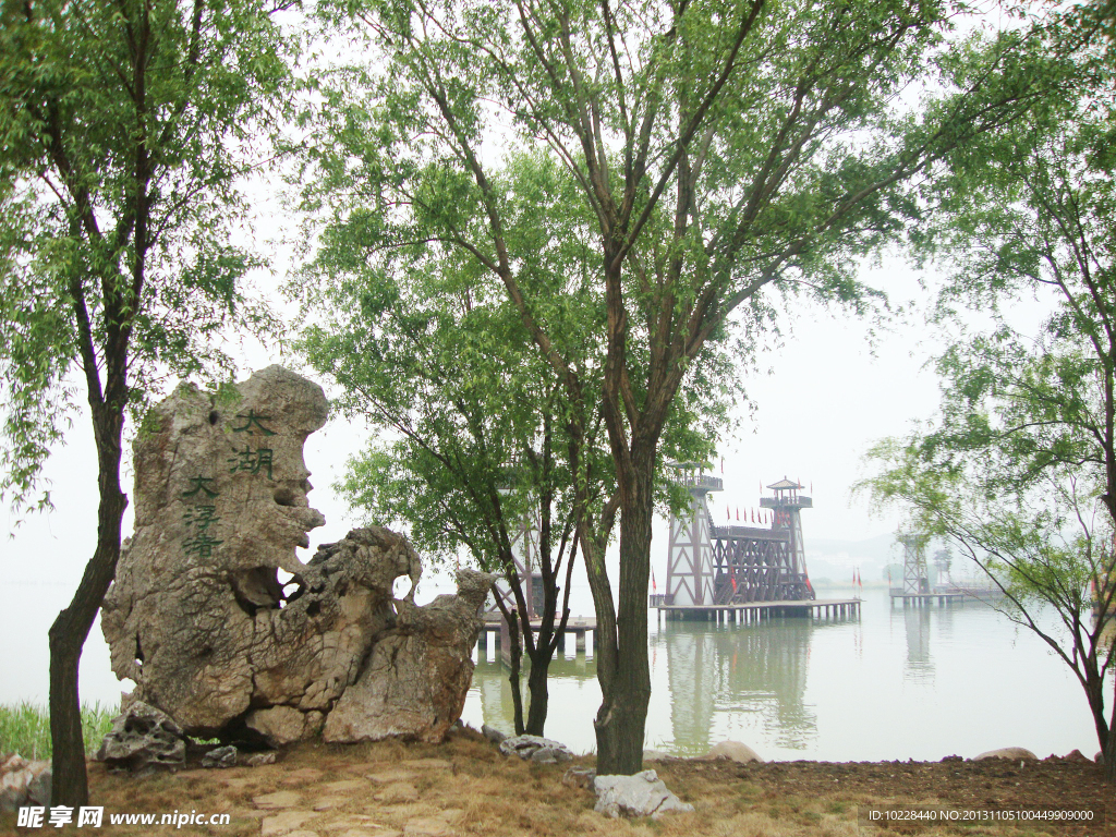太湖边的石景绿树